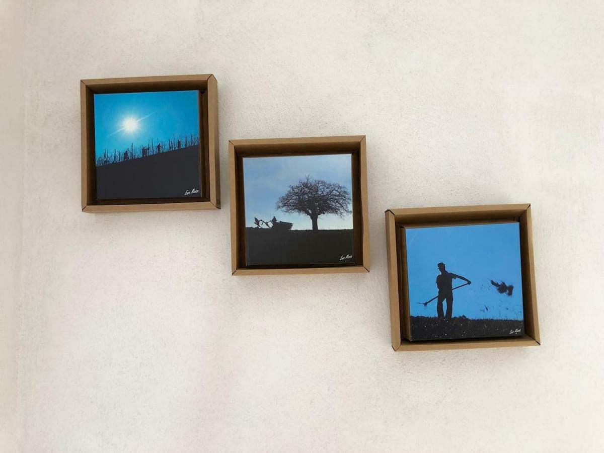 Villa Casa dei Nonni #charminglanga Grinzane Cavour Esterno foto